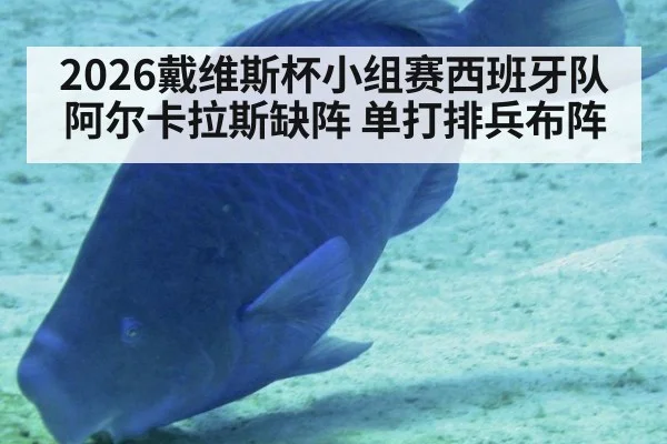 2026戴维斯杯小组赛西班牙队阿尔卡拉斯缺阵 单打排兵布阵 - jiuyou